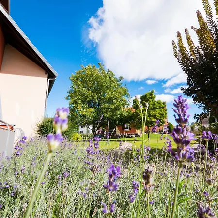 Loewen Garni - 3* ルスト