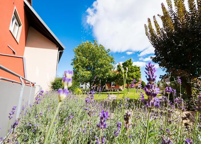 Loewen Garni - 3* Rust